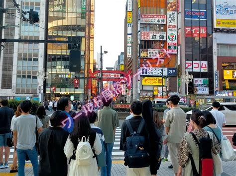 西武 新宿 線 風俗